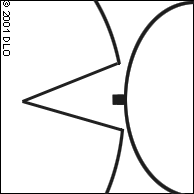 ��ǿ�ļ���ͼƬ